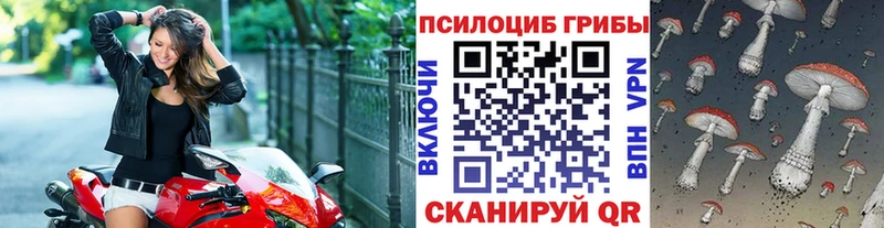 Галлюциногенные грибы ЛСД  как найти закладки  Енисейск 