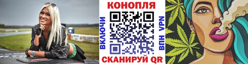 дарк нет Telegram  OMG как войти  Енисейск  сколько стоит  Бошки марихуана SATIVA & INDICA 